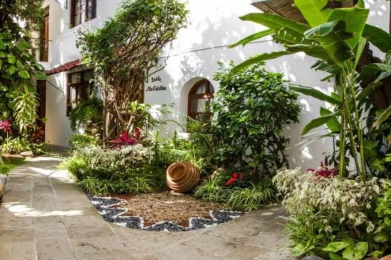 Casa Los Cantaros Hotel Boutique Oaxaca Luaran gambar